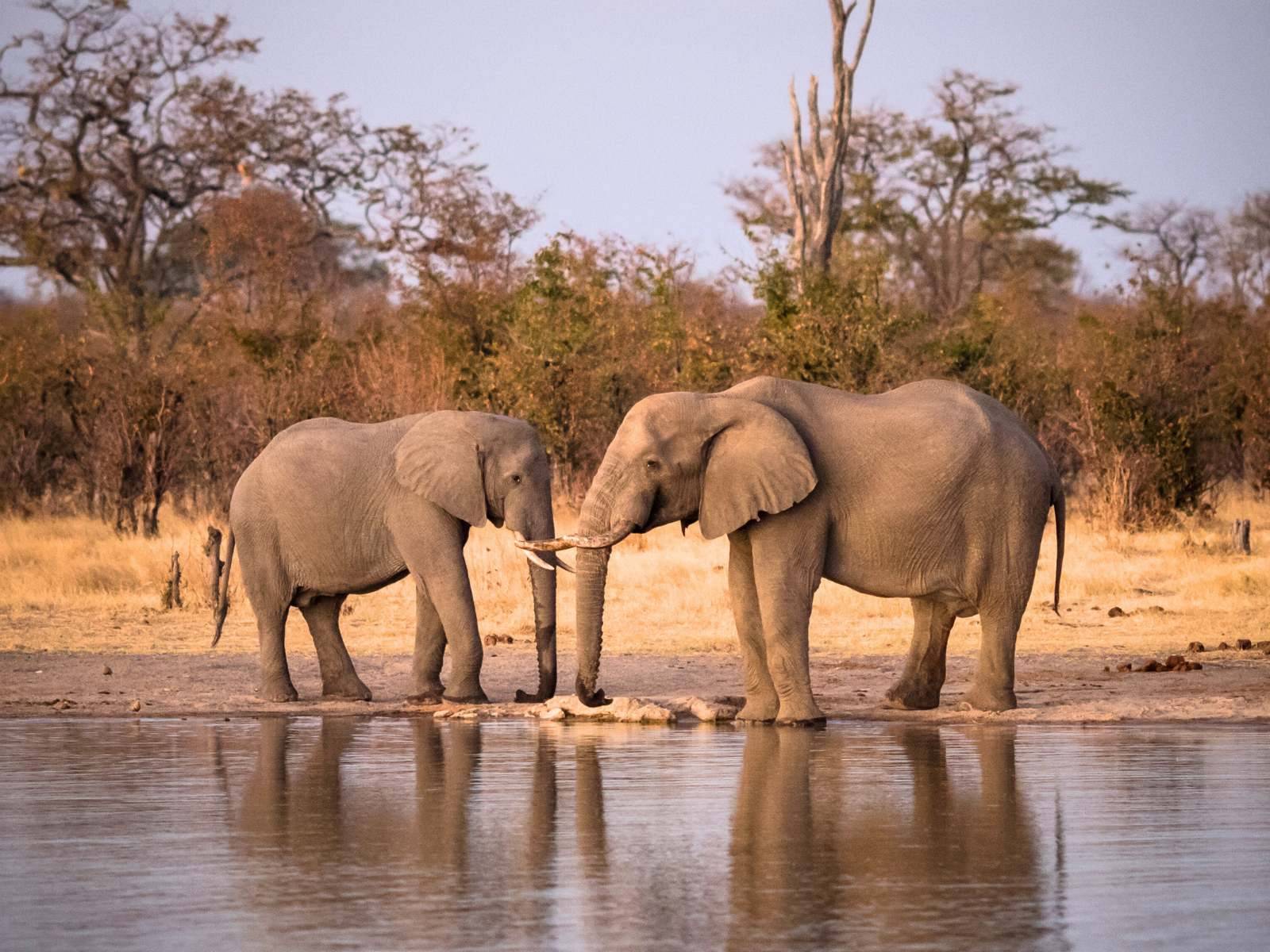Chobe National Park